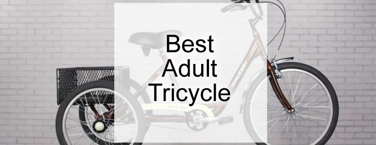 Best Adult Tricycle