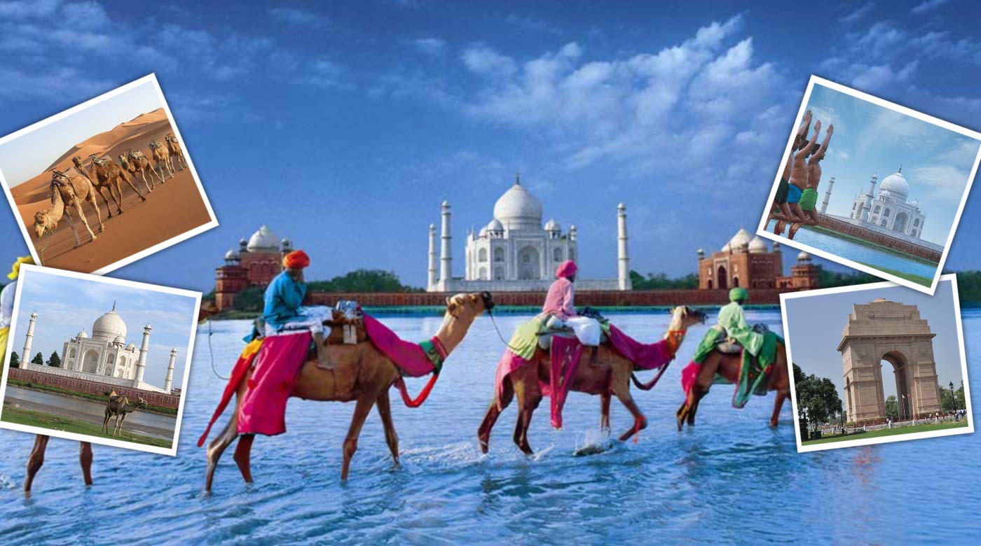 travel company in Jaipur